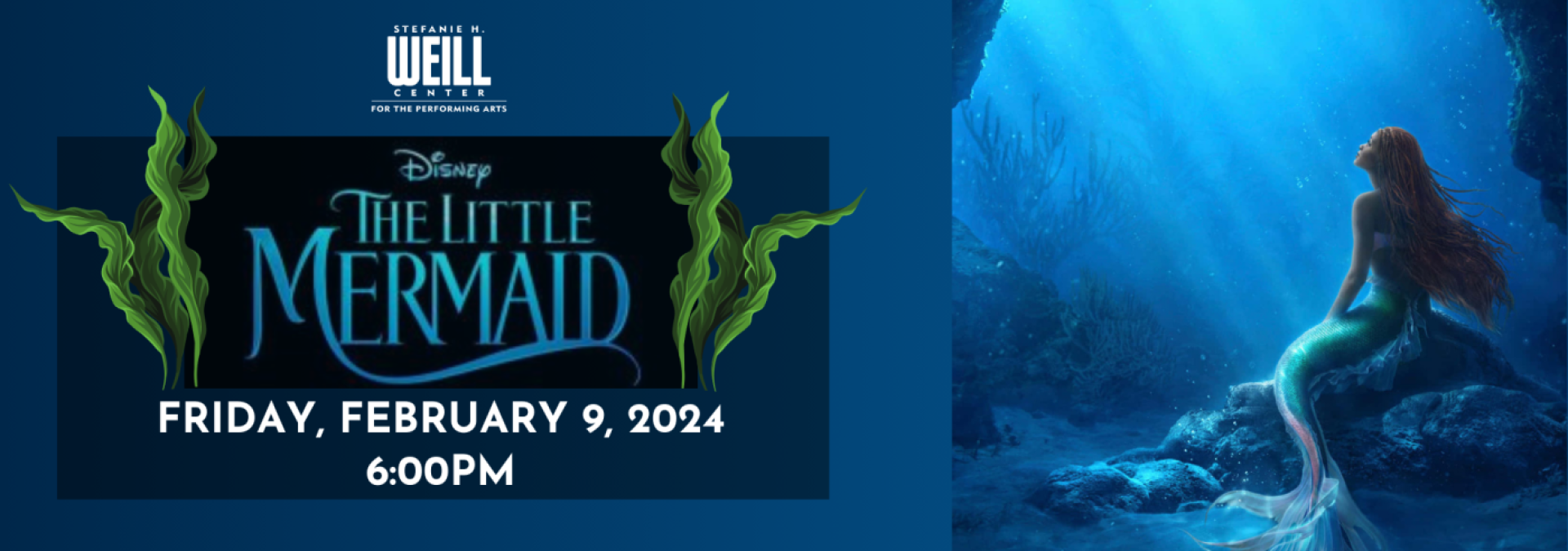 Little Mermaid Website Banner