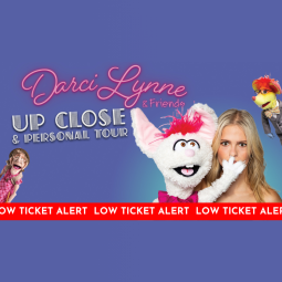 Darci Web Preview 1 v2